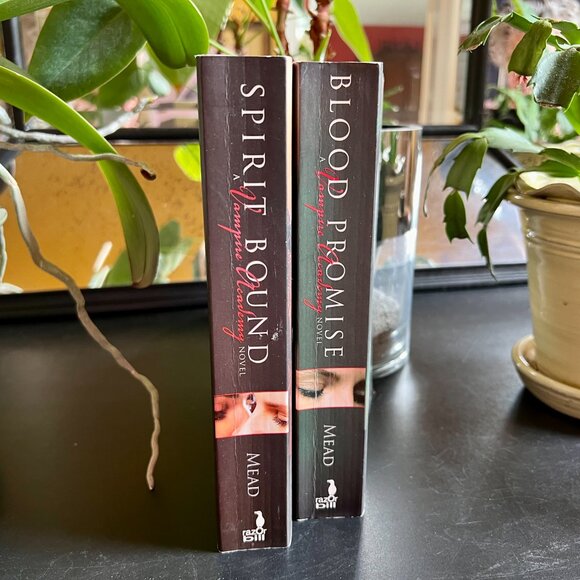 Two Books ($5.50 each): Spirit Bound and Blood Promise by Richelle Mead - Picture 3 of 4